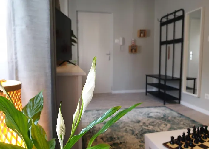 Le Guèlèf - Appartement 2 personnes